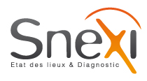 Logo Snexi