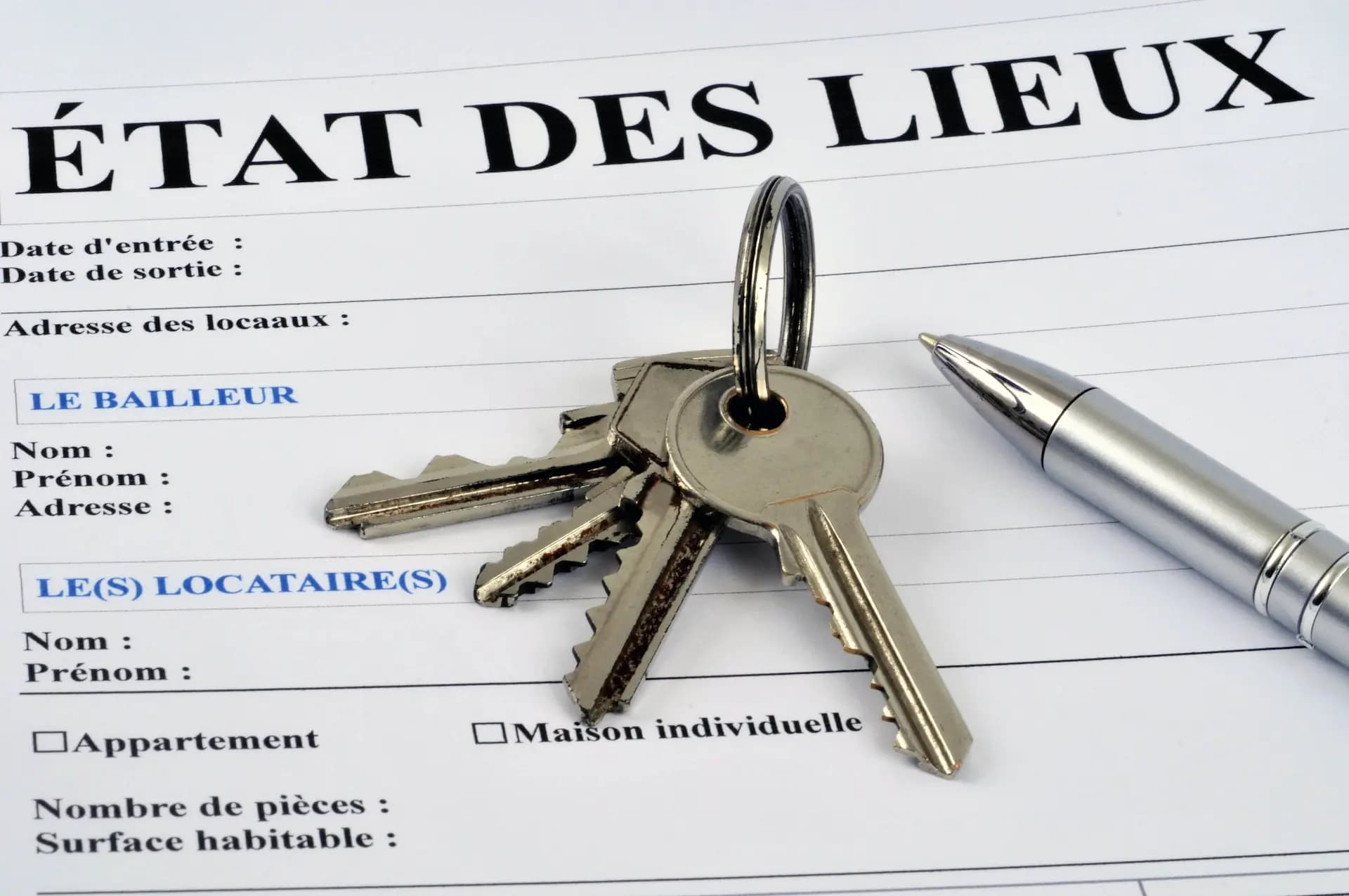 Diagnostic immobilier - une feuille de diagnostic immobilier certifié effectué avec un tampon